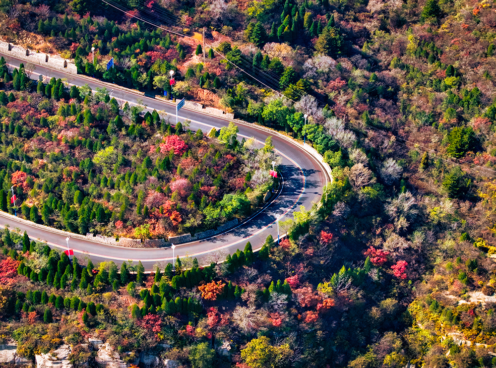 ./ywdt/tpxw/202511/t20251107_2133898.shtml