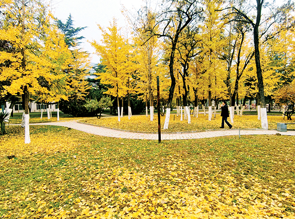 ./ywdt/tpxw/202511/t20251110_2135252.shtml