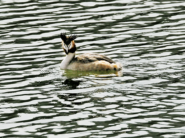 ./ywdt/tpxw/202603/t20260311_2180017.shtml